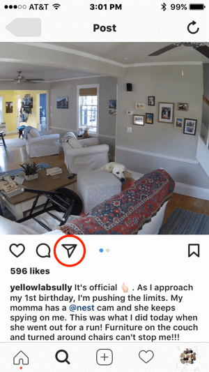 Если Nest хочет связаться с этим пользователем Instagram для получения разрешения на использование его контента, они могут инициировать общение, нажав значок прямого сообщения.