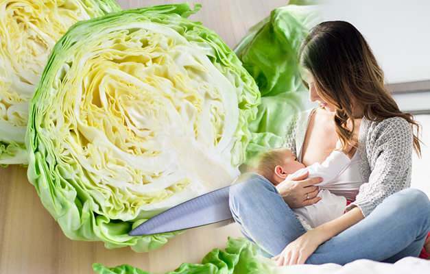 Могут ли кормящие матери пить капустный сок? Капуста делает газ в ребенке?