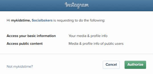 Разрешите Socialbakers доступ к информации вашей учетной записи Instagram.