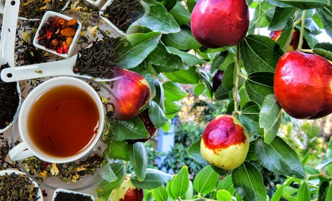 Каковы преимущества чая из зизифуса, рекомендованного Ибн Синой? Чем полезен чай из зизифуса?