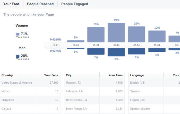демографические данные аудитории facebook insights