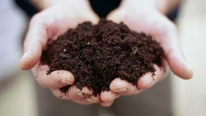 Как предотвратить формирование почвы в горшке?
