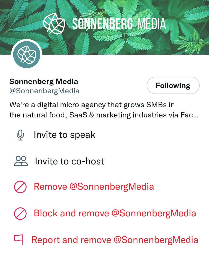 как-создать-твиттер-пространства-удалить-людей-из-пространства-sonnenbergmedia-шаг 15