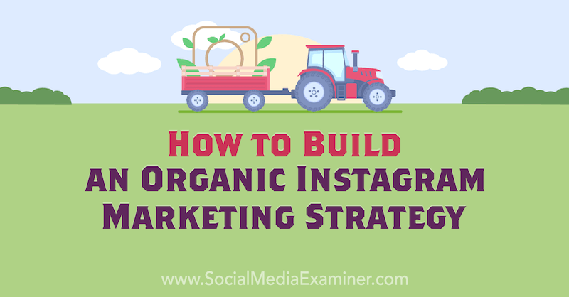 Коринна Киф, как построить органическую маркетинговую стратегию в Instagram в Social Media Examiner.