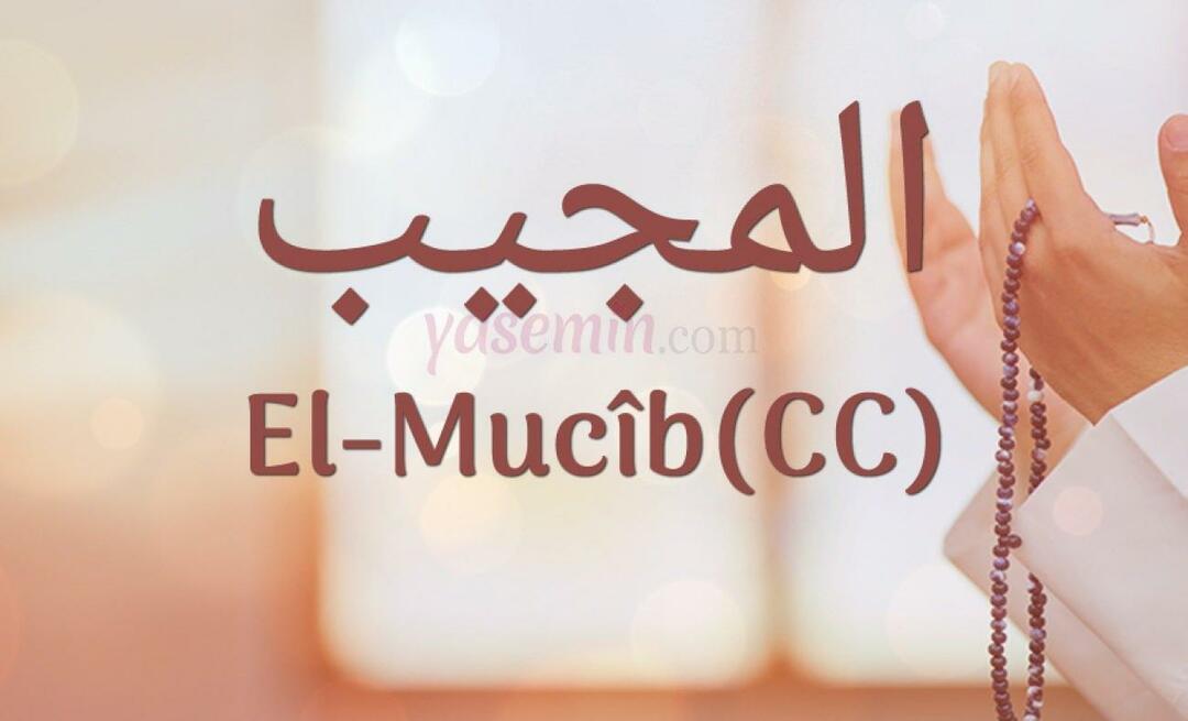 Что означает Аль-Муджиб (cc) от Эсма-уль-Хусна? Почему совершается зикр аль-Муджиба?
