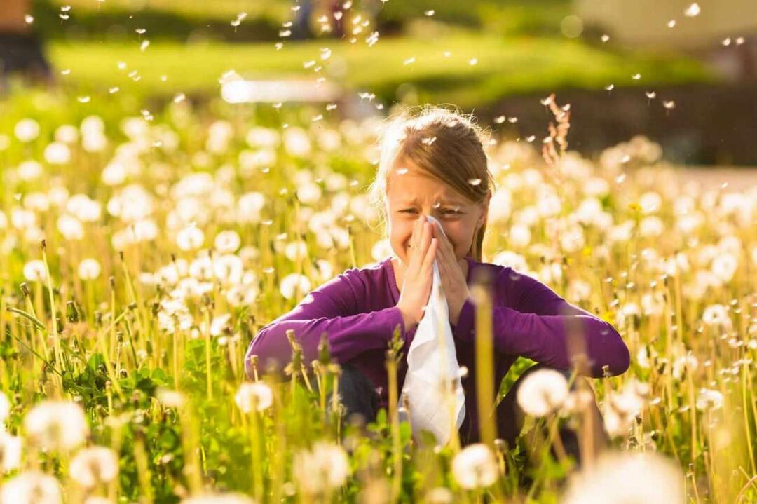 Что следует учитывать, чтобы защитить детей от сезонной аллергии