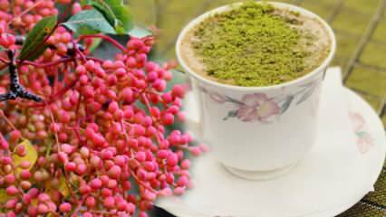 Каковы преимущества семян Мененгич (Çitlembik)? Что делает кофе Menengiç?