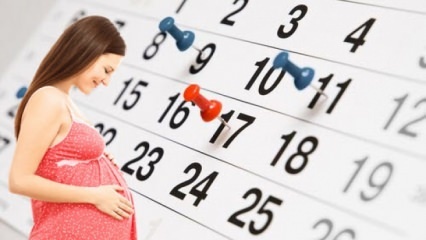 Нормально ли рожать при двойной беременности? Факторы, влияющие на рождение при двойной беременности
