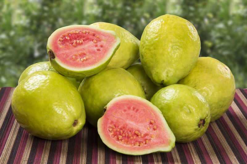 Что такое фрукт гуавы? Как есть плод гуавы и в чем его польза?