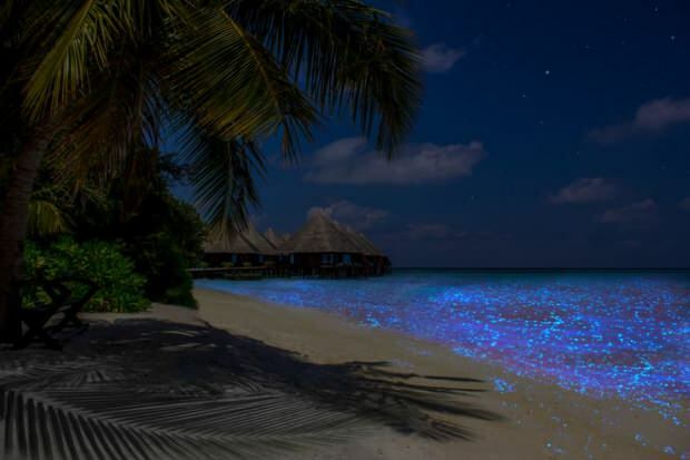 Мальдивы, остров Ваадху