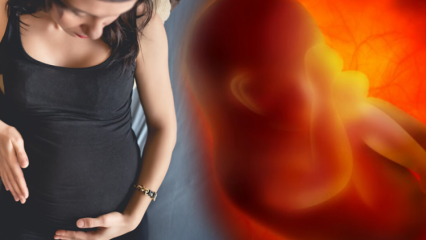 Менструируют во время беременности? Причины и виды кровотечений при беременности