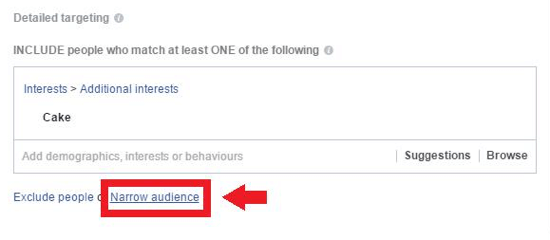 Щелкните ссылку "Узкая аудитория" в разделе "Подробный таргетинг".