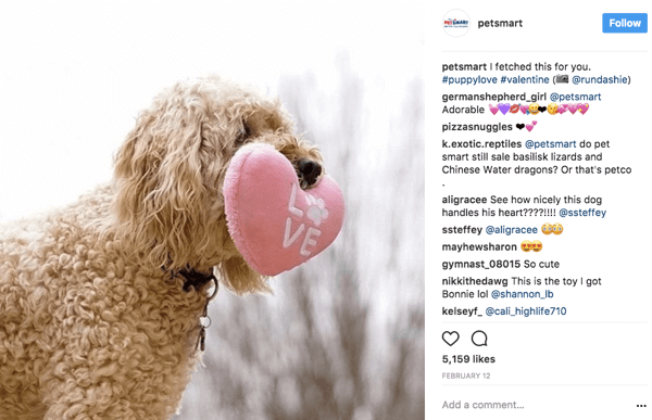 Когда PetSmart повторно публикует фотографии пользователей в Instagram, они указывают в подписи к оригинальному постеру фото.