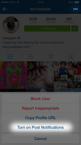Instagram добавляет уведомления о публикациях