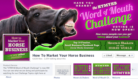 как продвигать свой конный бизнес