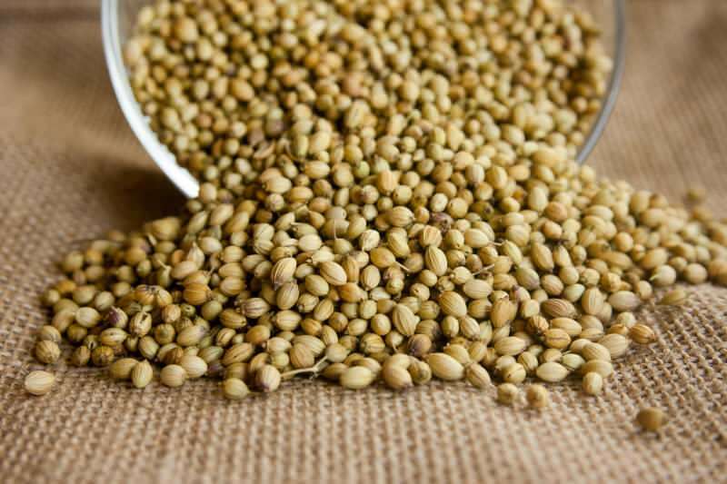 Каковы преимущества семян кориандра? Как использовать кориандр? Что делает масло кориандра?