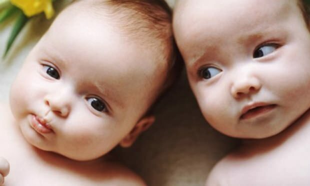 Если в семье есть близнецы, увеличатся ли шансы на беременность? Поколение лошадей?