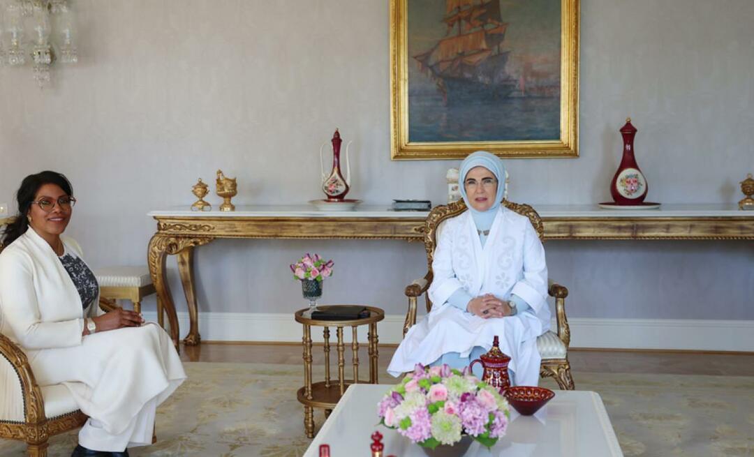 Первая леди Эрдоган встретилась с дочерью Малкольма Икс Ильясой Шахбаз