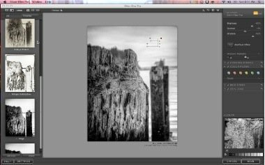 Nik Software Silver Efex Pro - Обзор программного обеспечения для фотографий - Контрольные точки