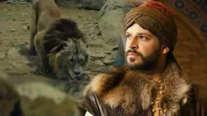 Кто игроки Bozkır Lion Celaleddin? Что является сюжетом «Степного льва Джелаледдина»?