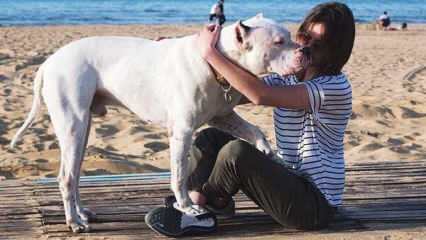 Молодая актриса Алина Боз попрощалась со своей мертвой собакой! Кто такая Алина Боз?