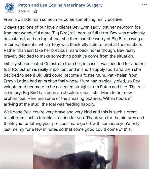 Пример сообщения в Facebook с историей ветеринарного врача Патона и Ли.