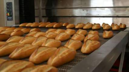 Эксперты предупреждают: положить хлеб в духовку на 90 градусов на 10 минут