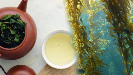 Каковы преимущества мха? Как приготовить чай из морских водорослей и для чего он хорош?