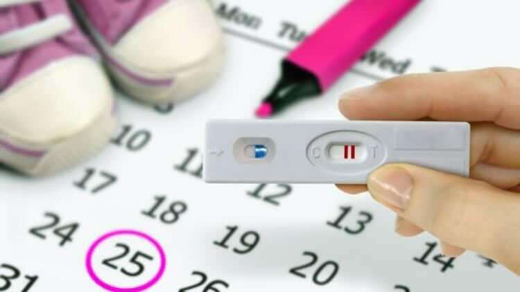 Через сколько дней после окончания менструации? Связь менструального цикла и беременности