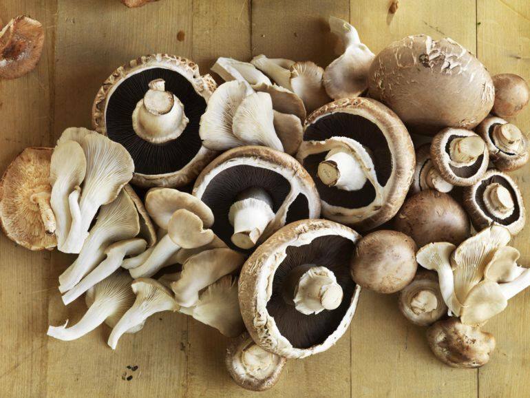 Уловки, чтобы знать, готовя грибы