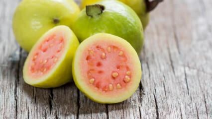 Что такое фрукты гуавы? Каковы преимущества?