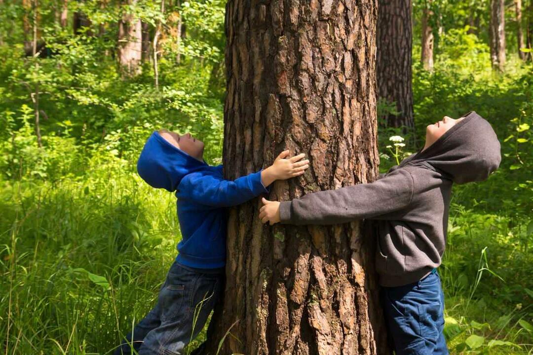 Дети охраняют природу. Человек обнимает дерево. Обнять дерево в лесу для детей. Ответственное отношение к природе. Любовь детей к природе.