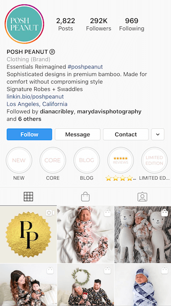 пример био из Instagram, оптимизированного для бизнеса