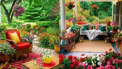 Цветы, которые можно использовать осенью в саду и на балконе!