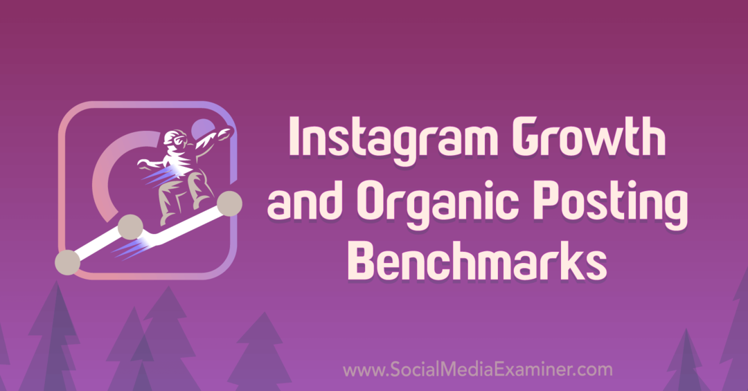 Тесты роста Instagram и органических публикаций Майкла Стельцнера. 