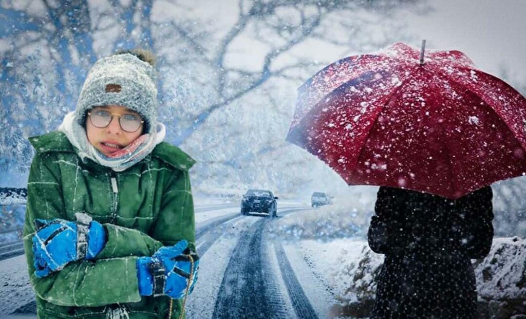 Что такое зима Ла-Нинья? Когда начинается зима Ла-Нинья? Когда пойдет снег?