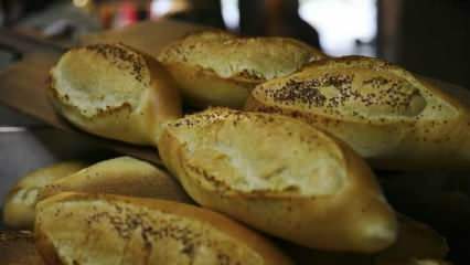 Как оценивается черствый хлеб? Рецепты из черствого хлеба