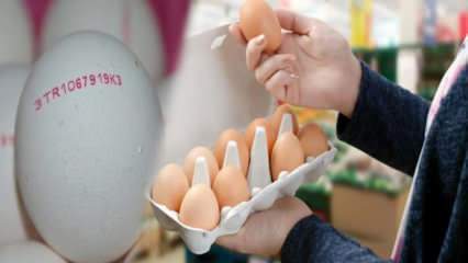 Как понимать органическое яйцо? Что означают коды яйца?