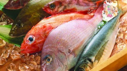 Влияние рыбы на иммунитет! Каковы преимущества рыбы? Как правильно питаться самой здоровой рыбой?