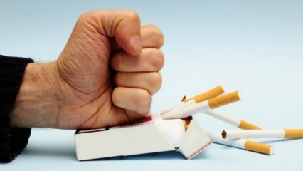 Влияние отказа от курения на организм! Что происходит в организме, когда вы бросаете курить?