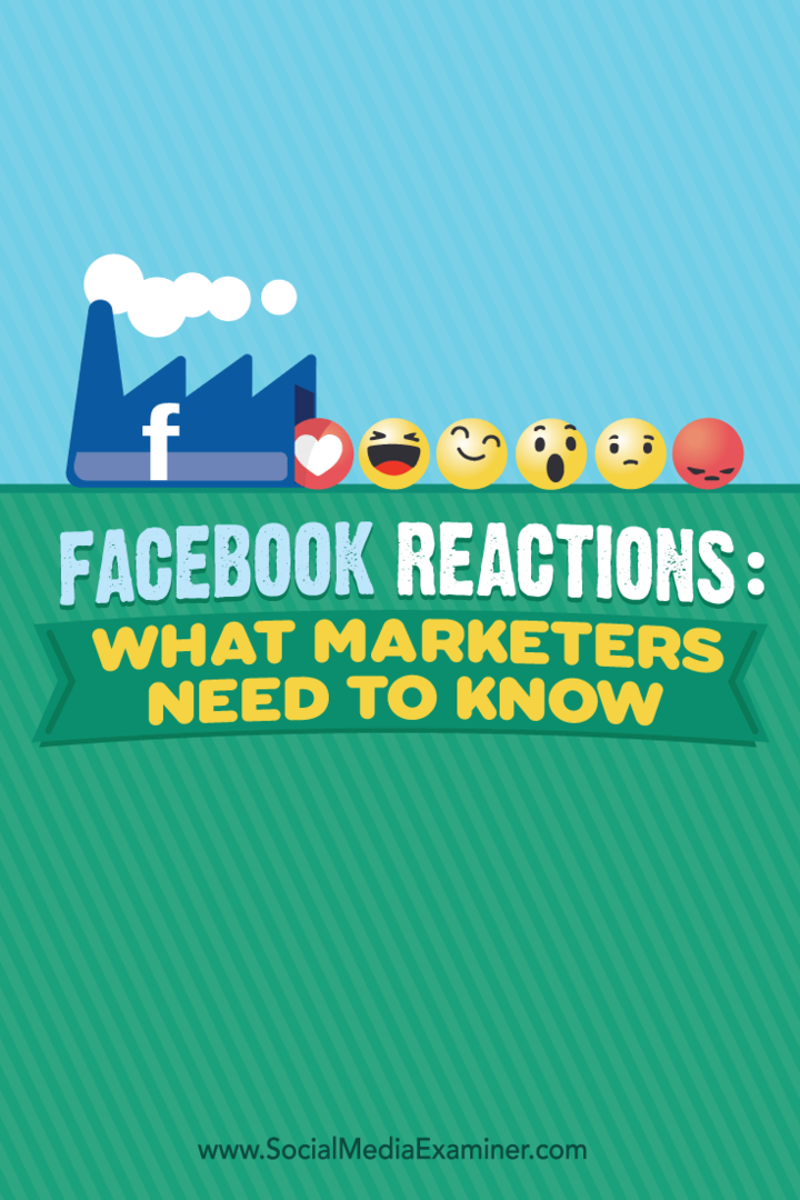 Реакция Facebook: что нужно знать маркетологам: специалист по социальным сетям
