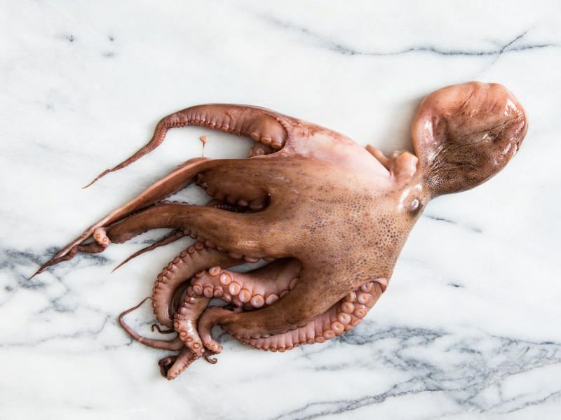 Как почистить и приготовить осьминога в домашних условиях? Самая простая техника приготовления осьминога