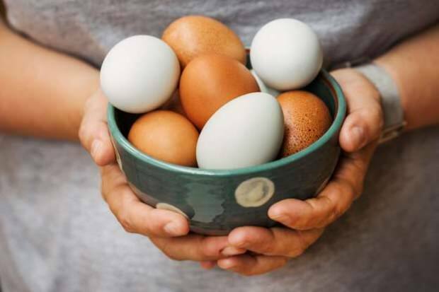 Как проводится анализ органических яиц?
