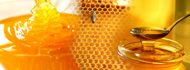 следует ли давать мед детям?
