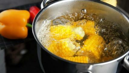 Как приготовить самую простую вареную кукурузу? Способы сортировки вареной кукурузы