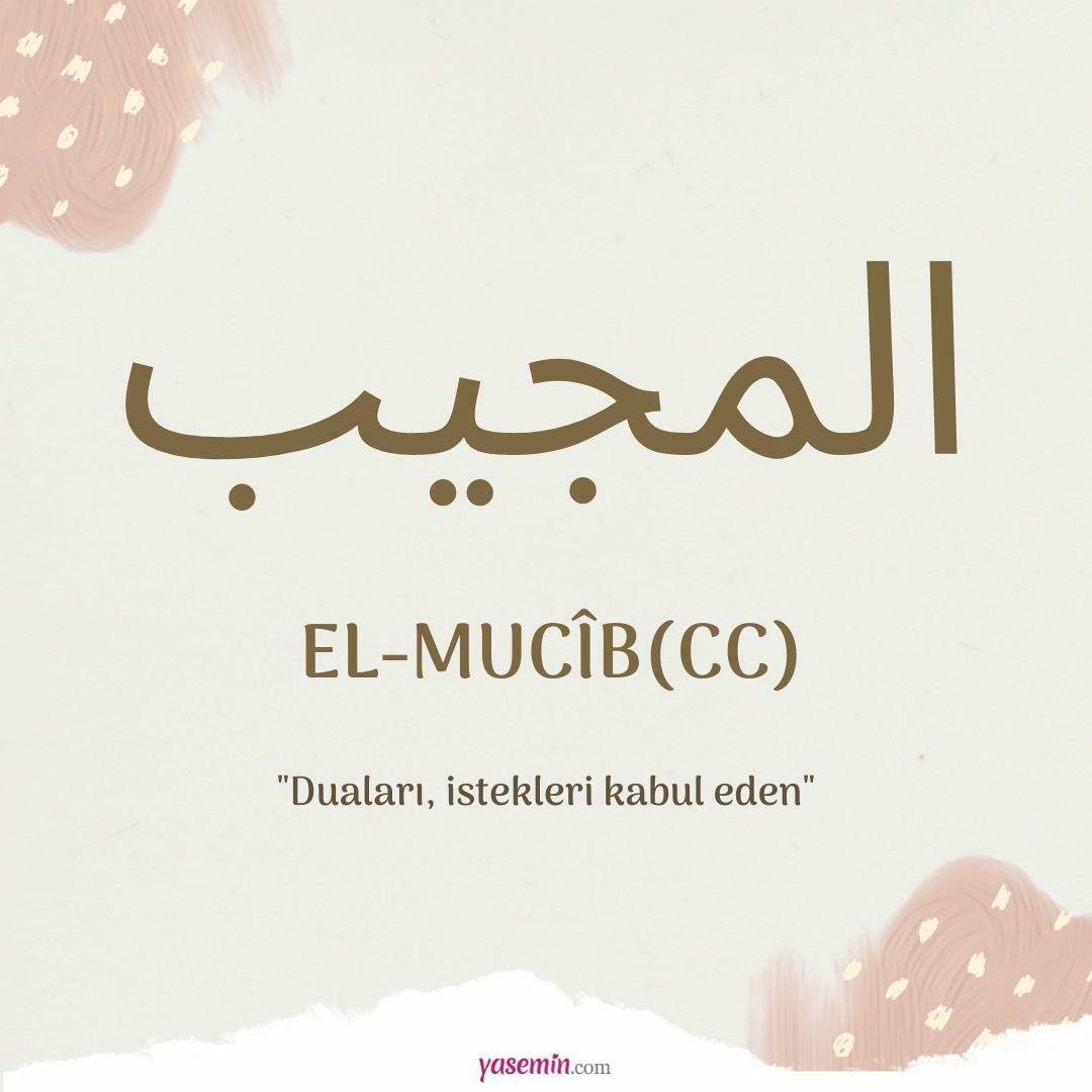 Что означает аль-Муджиб (cc)?