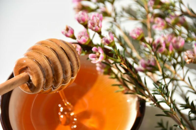 мед манука из цветка мануки