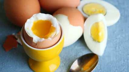 Как влияет на организм ежедневное употребление 2 яиц в сахуре?