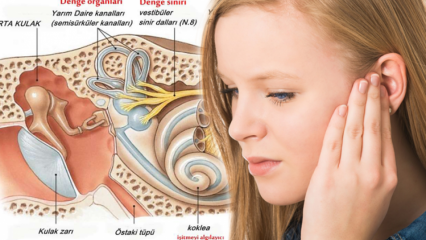 Причиной проскальзывания ушей? Симптомы слухового кристалла