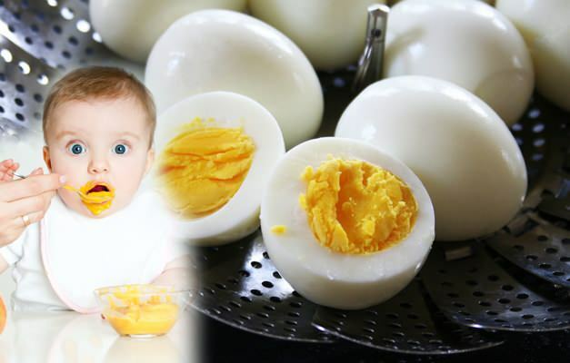Как кормить яичные желтки детям? Когда яичный желток дают детям?